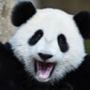 Meet your Posher, Jayden